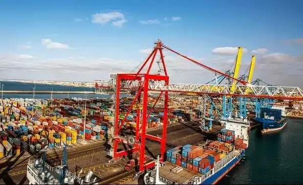 Tanger Med, Nador West Med, corridors verts : le pari logistique du Royaume