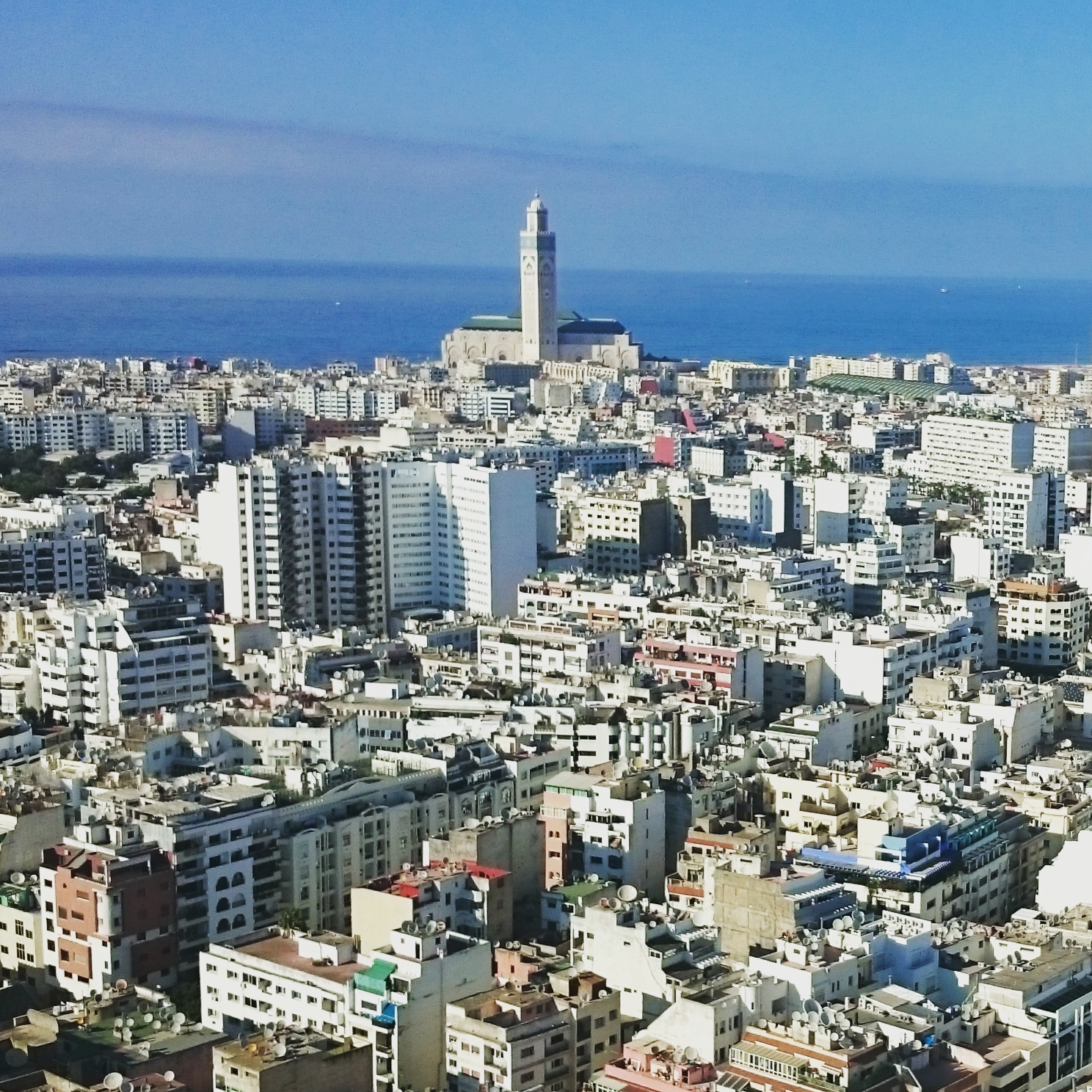 Casablanca étouffe : les espaces verts disparaissent, les immeubles poussent