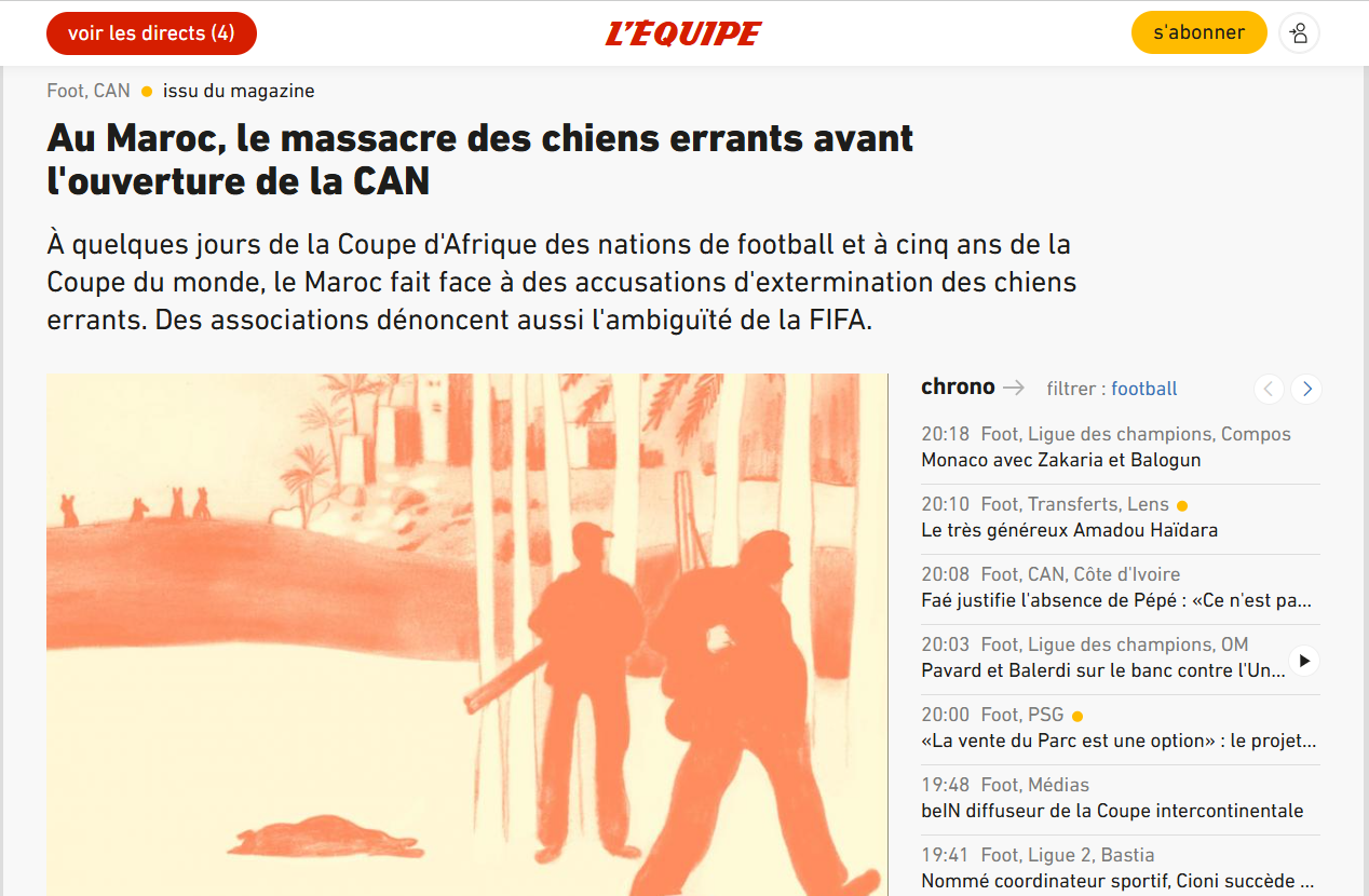 Chiens errants et CAN 2025 : que vaut vraiment l’article de « L’Équipe » sur un “massacre” au Maroc ?