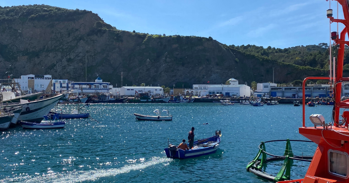 Économie bleue en Afrique : le Maroc en hub du littoral africain ?