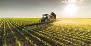 Agriculture et export au Maroc : l’impact des cultures à forte valeur ajoutée sur l’eau et le sol