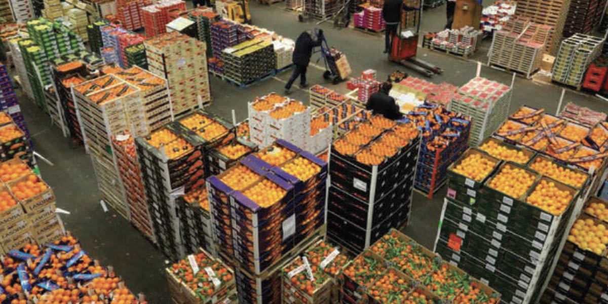 Agro-maroc : qui capte la valeur entre ferme et rayon ?