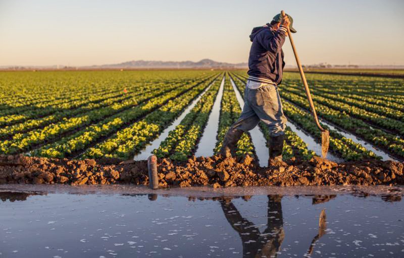 Agriculture & eau : innovations d’irrigation, variétés résilientes et gouvernance locale