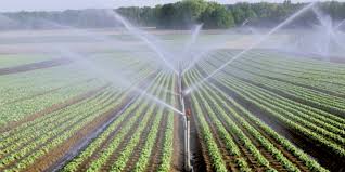 L’eau, la sécheresse et la survie agricole : le pari du dessalement