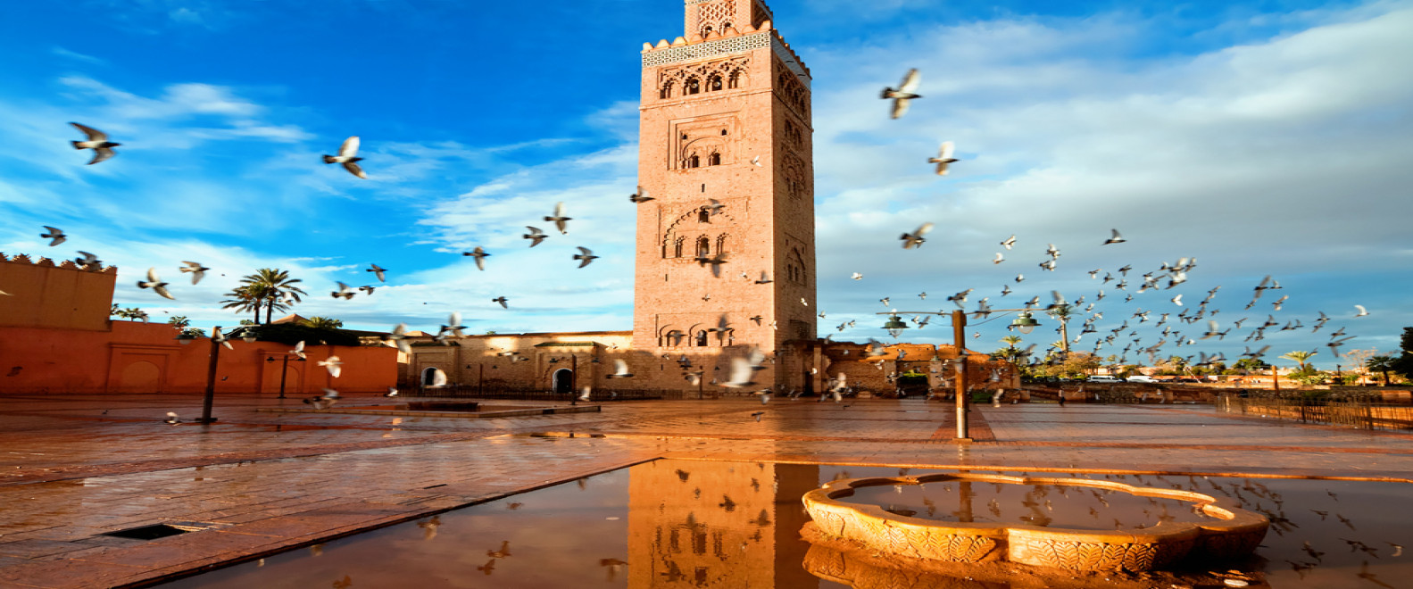 Tourisme : le Maroc clôture 2025 sur un nouveau record porté par le low-cost